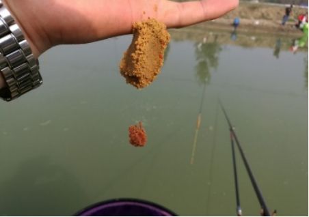 黑坑钓鱼虾滑用的是海虾还是河虾,黑坑小黄面饵料钓鱼视频