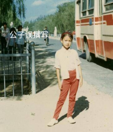 高圆圆婚姻情感故事,高圆圆和赵又廷现在关系