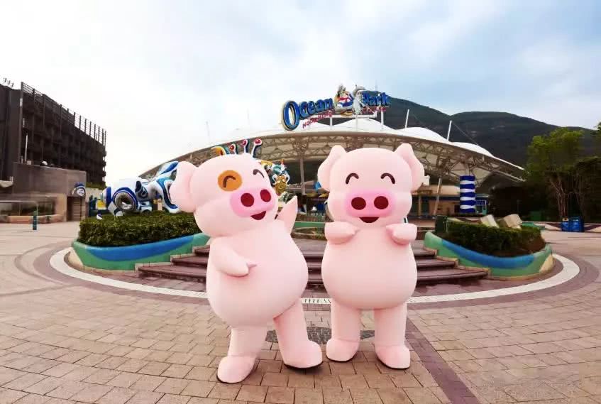 香港巨型圣诞树,香港圣诞树旅游攻略