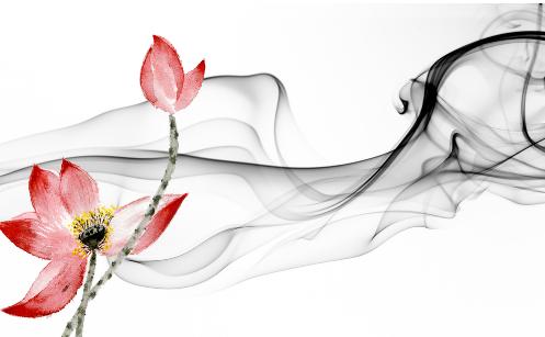 couldn'tconnecttohost