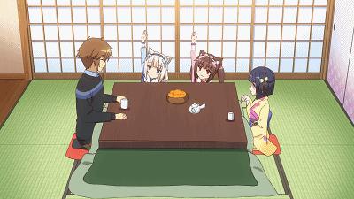 又要吸猫啦！《巧克力与香子兰》TV动画化決定！特报影像公开