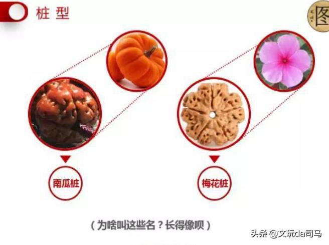 金刚菩提盘玩中的效果图片大全,文玩菩提图解