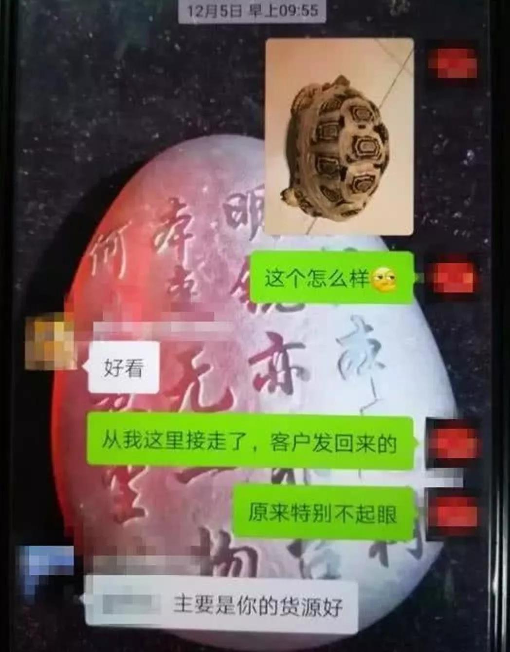 萌宠店到底有什么小宠物,萌宠宠物交易批发小店是骗人的吗