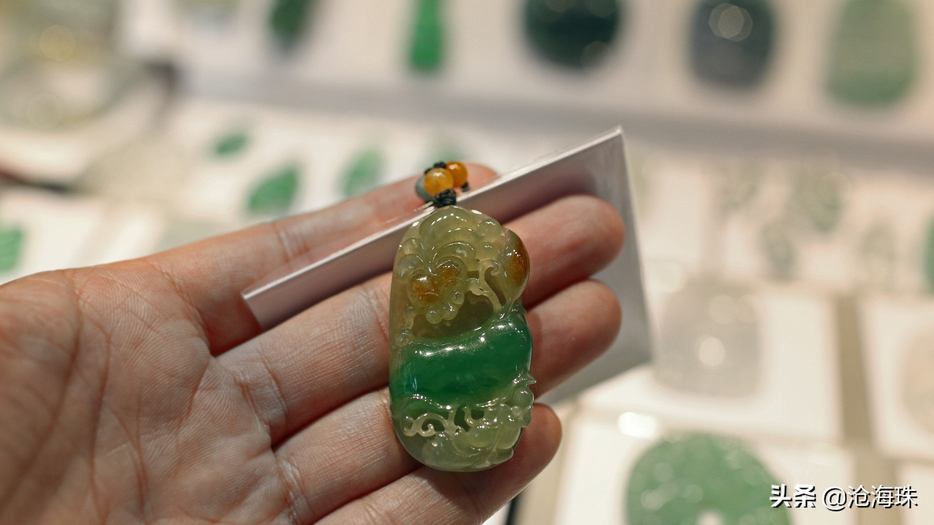 淘玉淘翡翠，带着老爸逛四会「0012期」