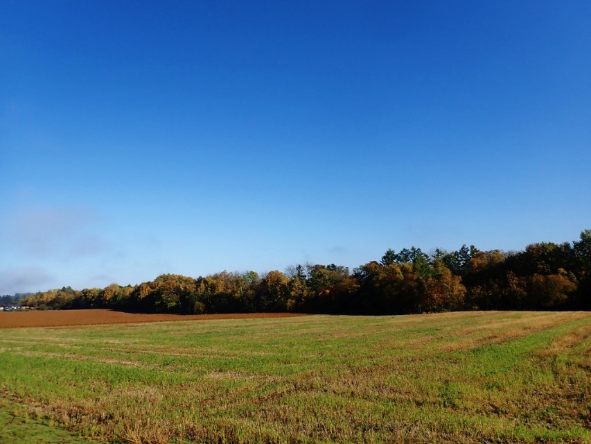 北海道登别到美瑛町需多久,日本北海道美瑛川的雪景
