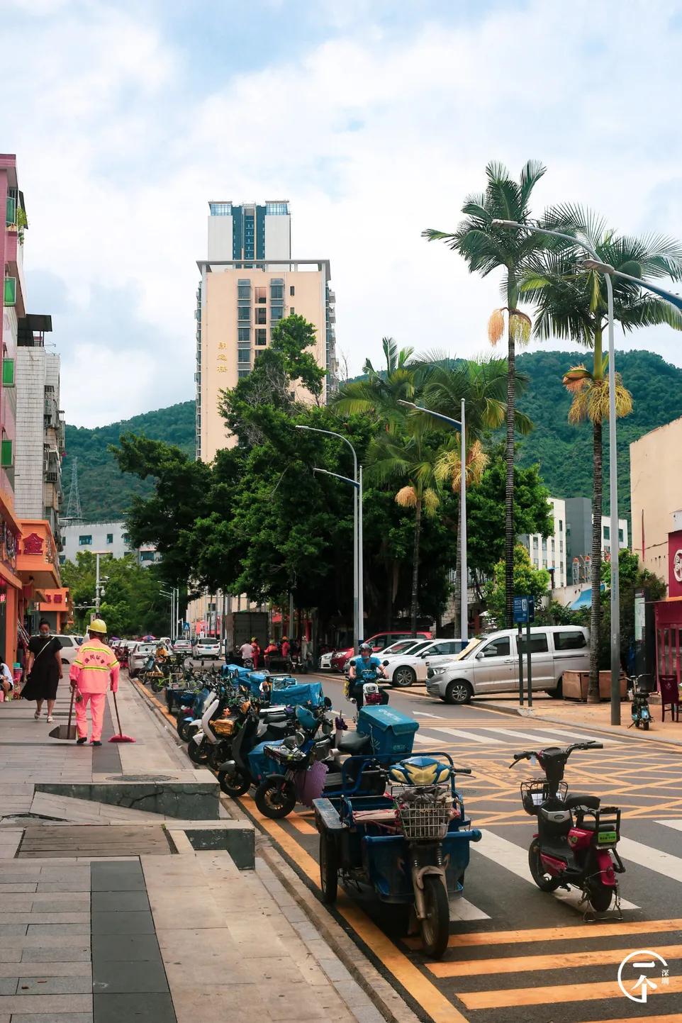 塘朗租房贵吗,西丽塘朗房租