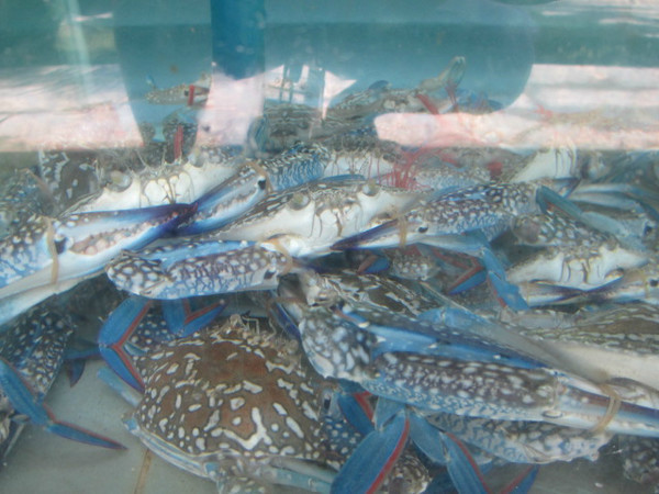 三亚自由行游玩路线,三亚自由行游玩攻略详细