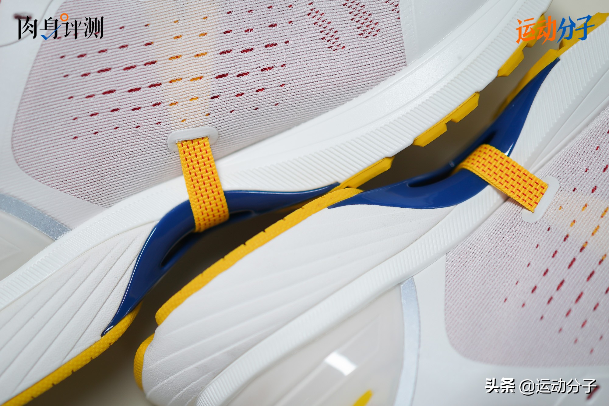 多威maxpower,多威max版