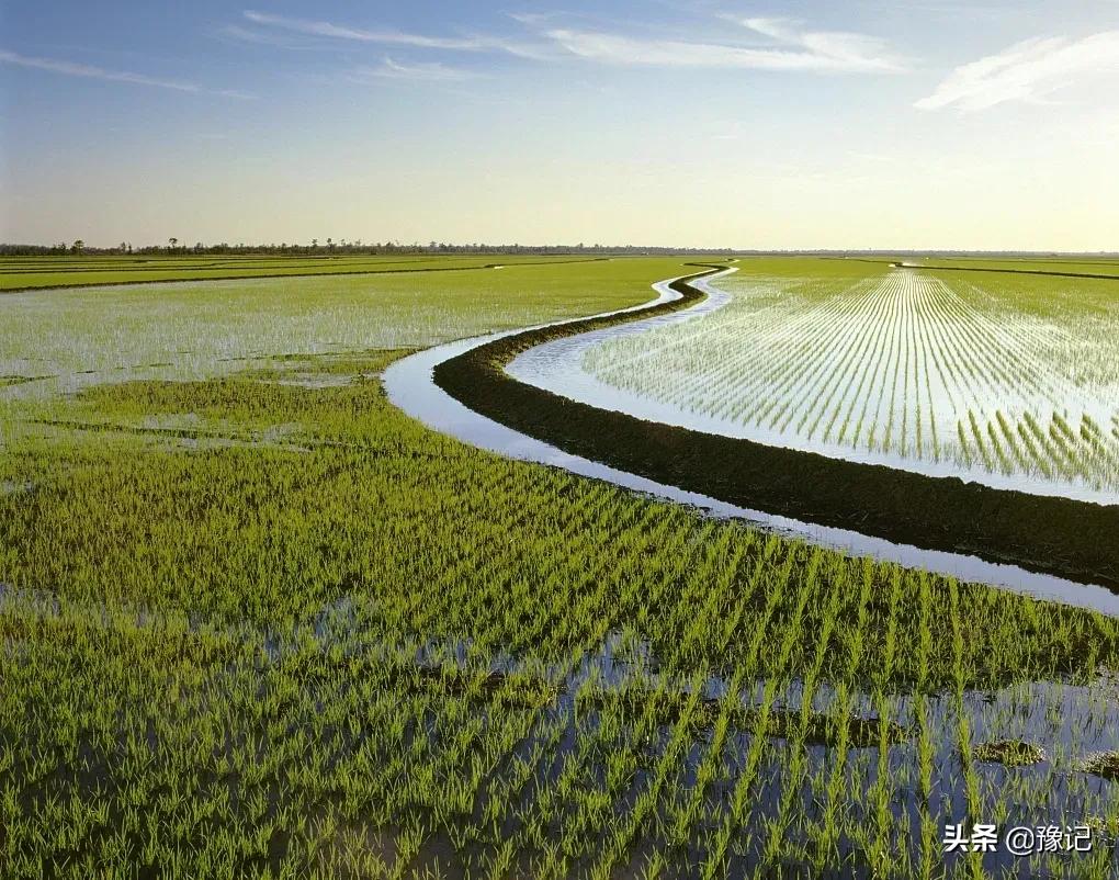 国内最大的中央厨房产业园,为啥会建在原阳?|豫记