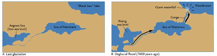 揭秘人类进化史全集,人类简史进化全过程