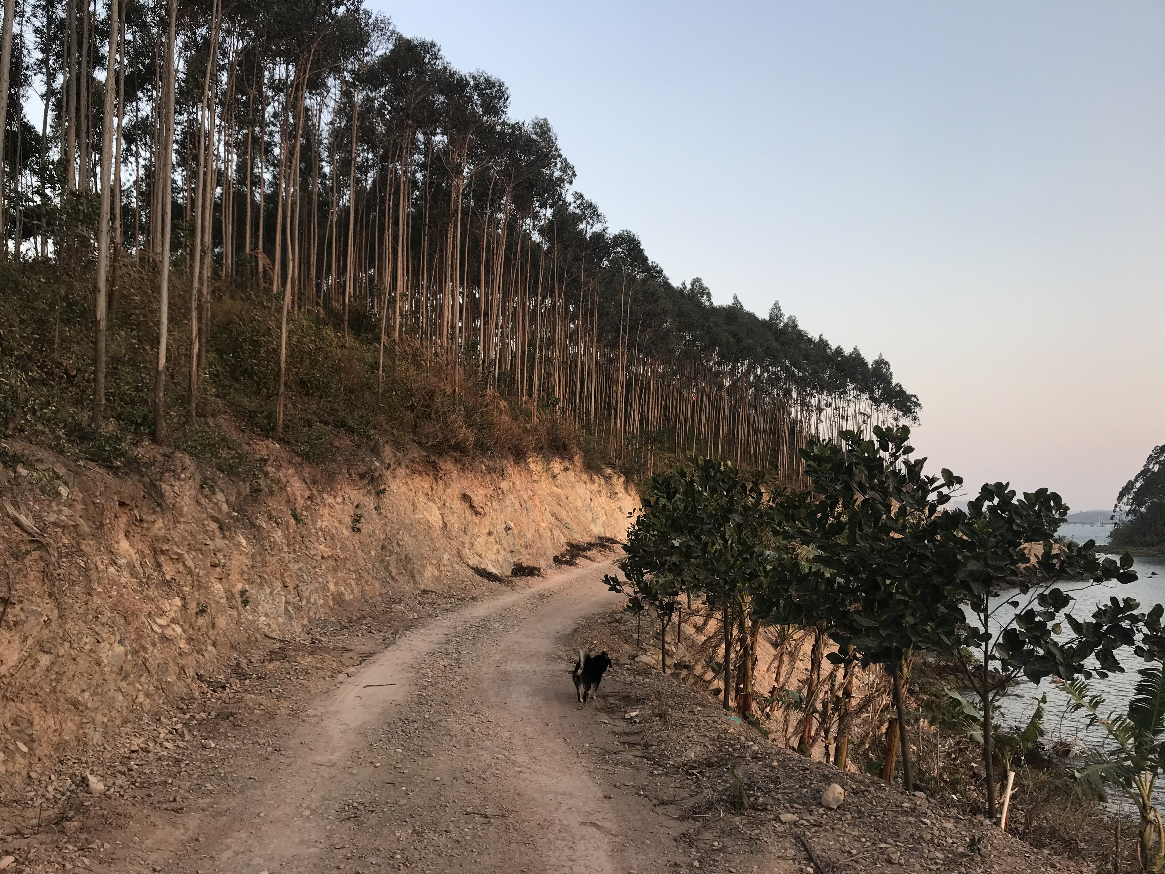 又见东兴,故地重游口岸都关闭了,不同时间不同伙伴不同心情