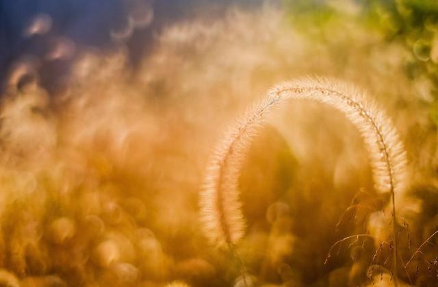 高三学生赚钱的方法,学生怎样赚到1000元