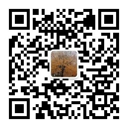 网络文学，了解的开始是熟悉