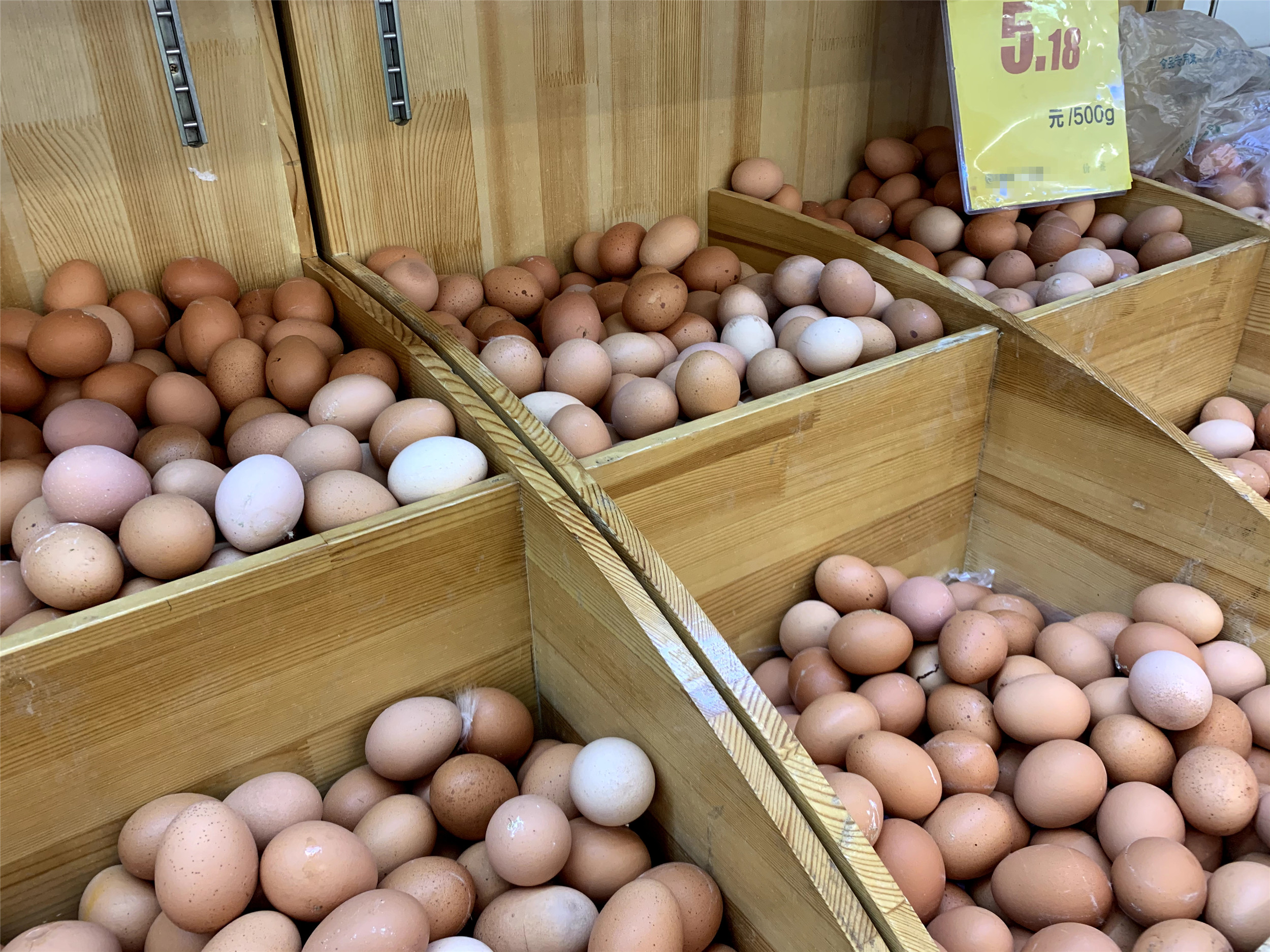 白壳鸡蛋和红壳鸡蛋哪个贵点,买鸡蛋要买壳厚的还是壳薄的