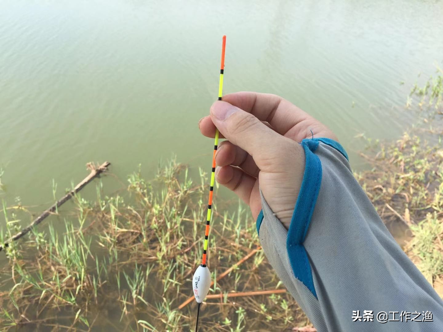 钓鱼双飞怎么上鱼,钓鱼双飞的最佳方法