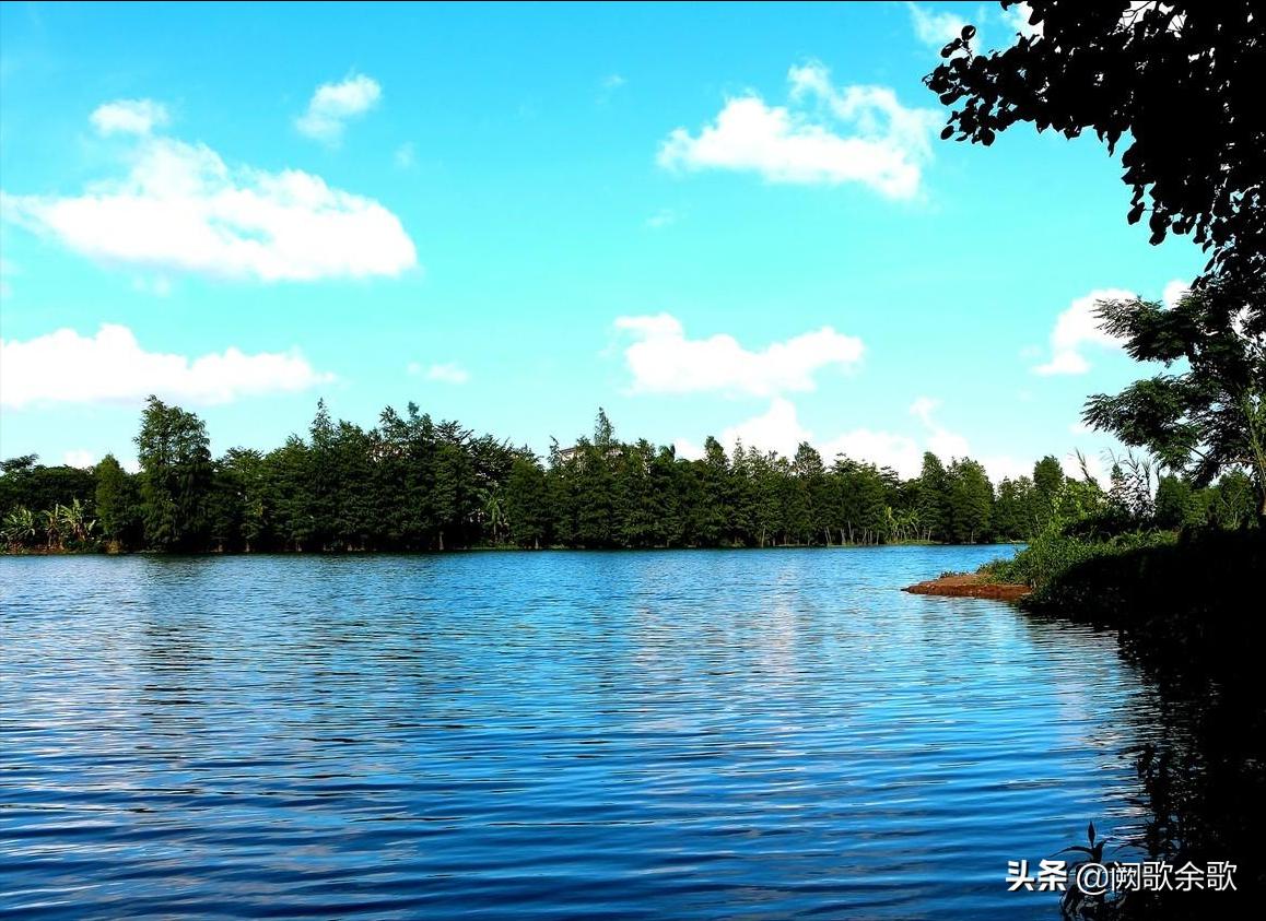 珠海公园森林风景,珠海公园美景视频