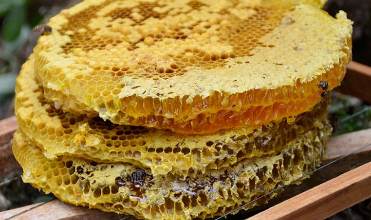 怎么鉴别真假蜂蜜最简单的办法,养蜂人教你如何辨别真假蜂蜜