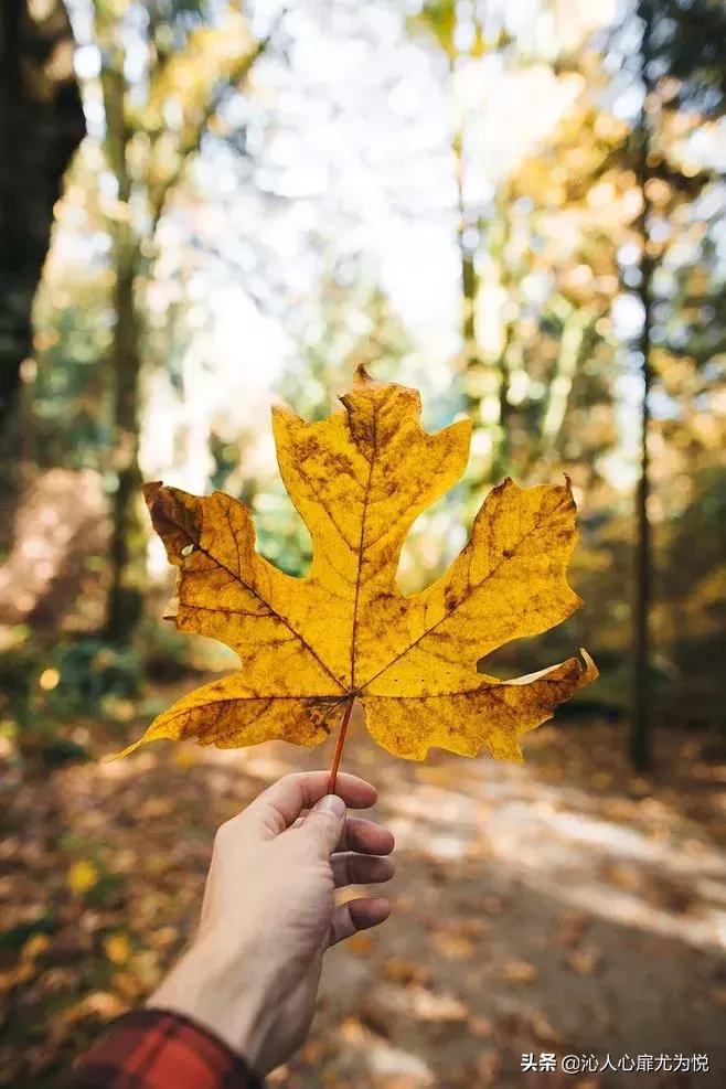 出轨率越来越高说明什么,知道老公出轨了该不该看他手机