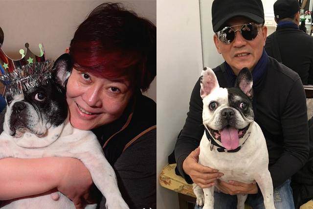 64岁也不生孩子,却花60万克隆爱犬当儿女,孙淳可不是图新鲜