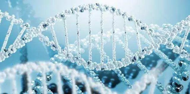 二裂酵母神仙精华水,酵母水神仙水