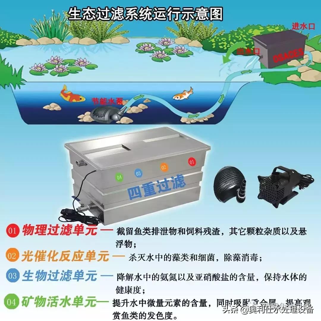 锦鲤鱼池过滤仓建造过程视频,锦鲤鱼池最好的过滤方式