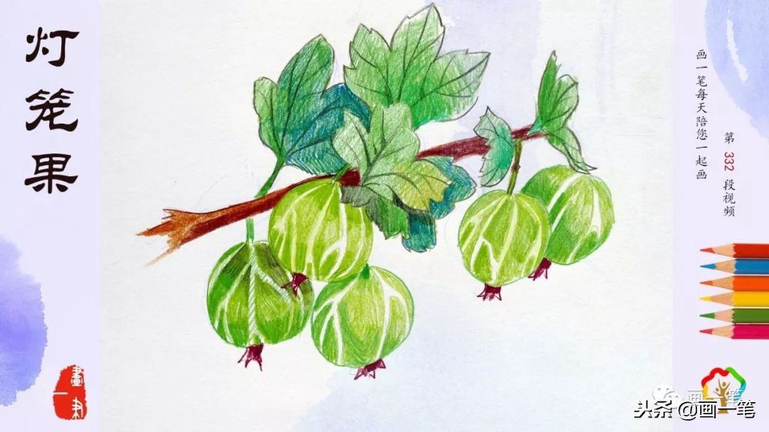 彩铅榴莲逼真,榴莲画彩铅