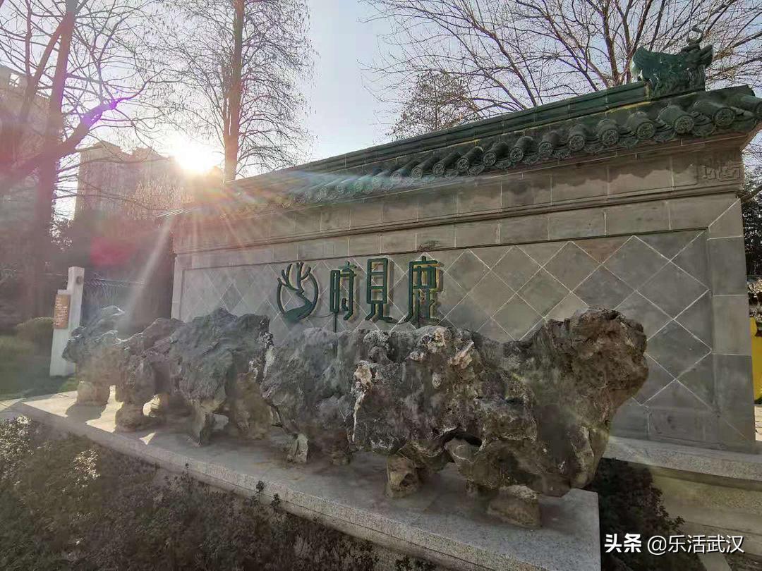 比咖啡馆有底蕴、比图书馆有情趣，集美貌才华于一身的，就在这