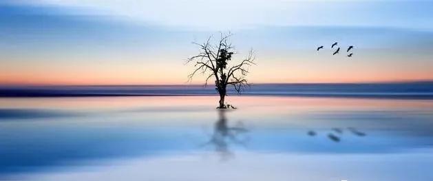 静是一种力量一种福气,西双版纳这边旅游