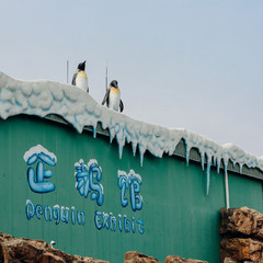 珠海长隆两日一晚游玩攻略,珠海长隆一日游攻略中餐