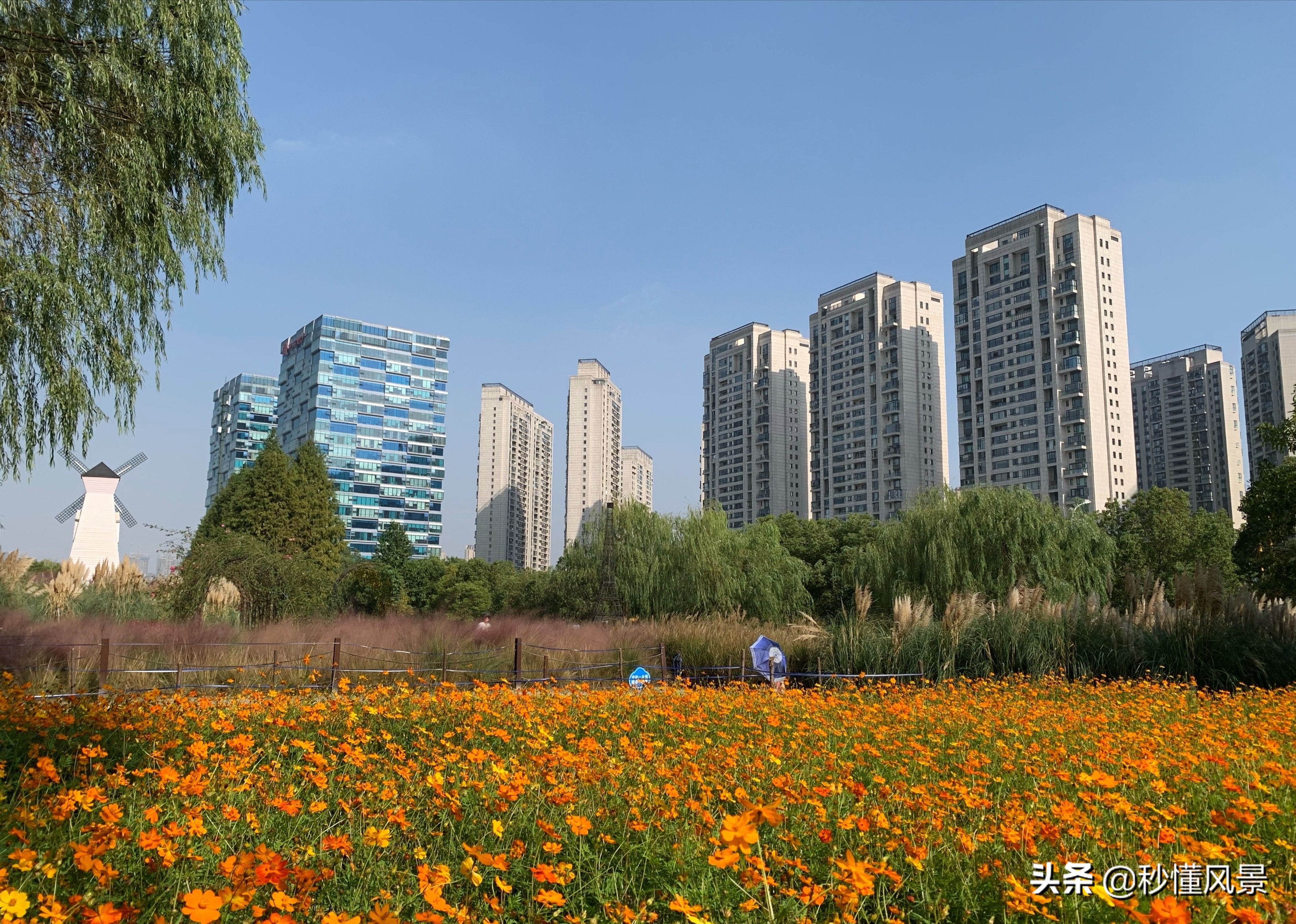 杭州钱塘江观赏地,杭州钱塘江风景最好的地方是