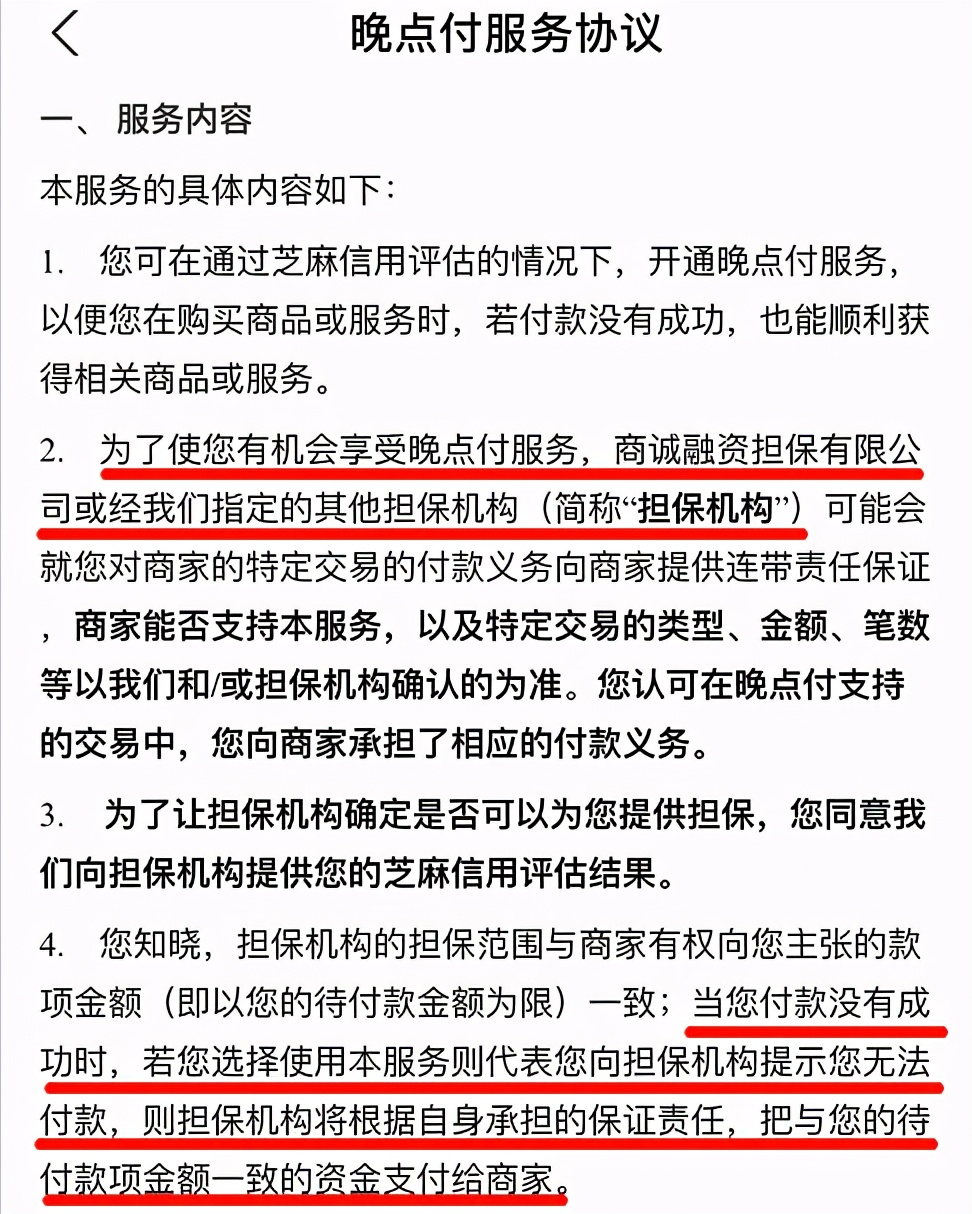 支付宝晚点付开通了怎么用不了,支付宝出新东西