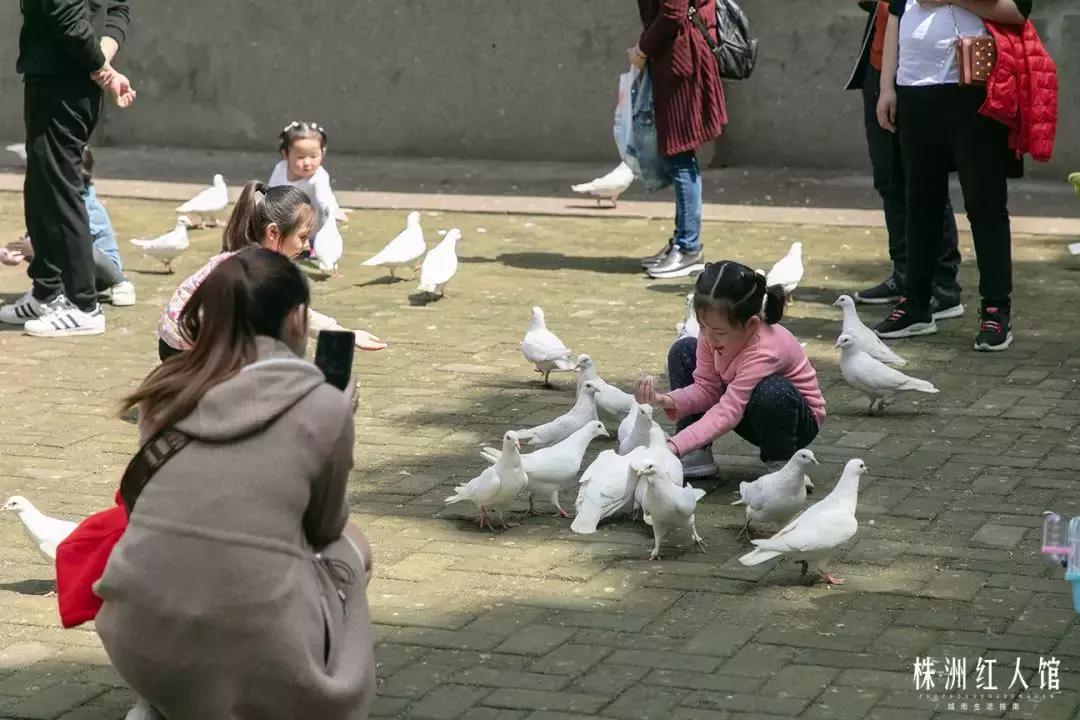 株洲神农公园的传说,株洲神农公园游览图