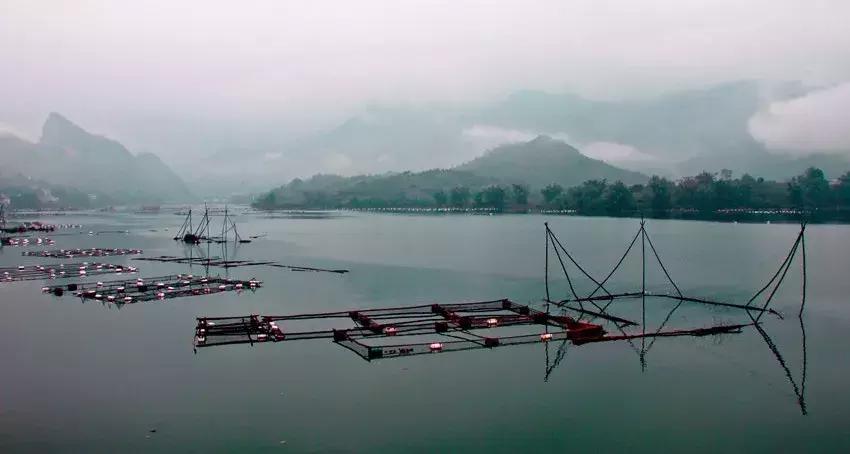 探秘广西巴马长寿之旅,广西巴马长寿探秘之旅