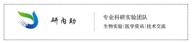 香港大学研究发现，循环胎球蛋白-A水平高的人患糖尿病风险更高