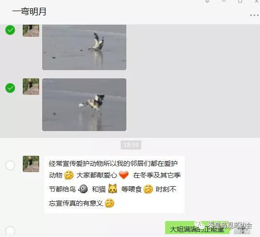 爱心让世界变得更美好作文,爱心让冬日暖意融融