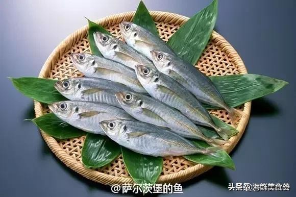 32种经典寿司做法视频,寿司常用的鱼