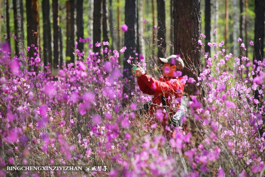 寻找中国最美的春季,探寻中国最美秘境