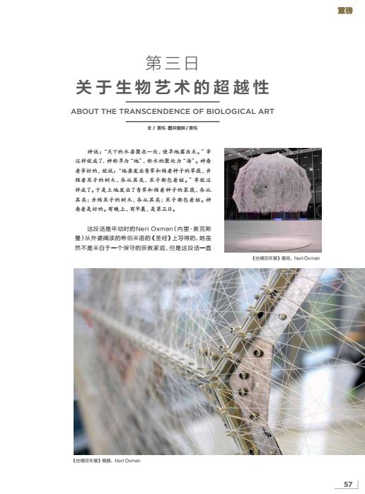 亚文化2013,亚文化2019