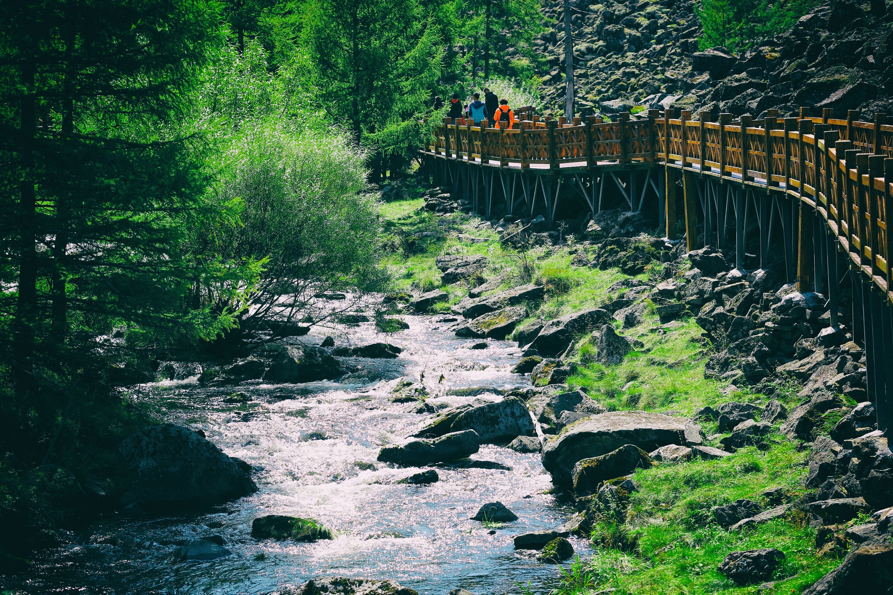东北游记攻略,东北游记最新视频