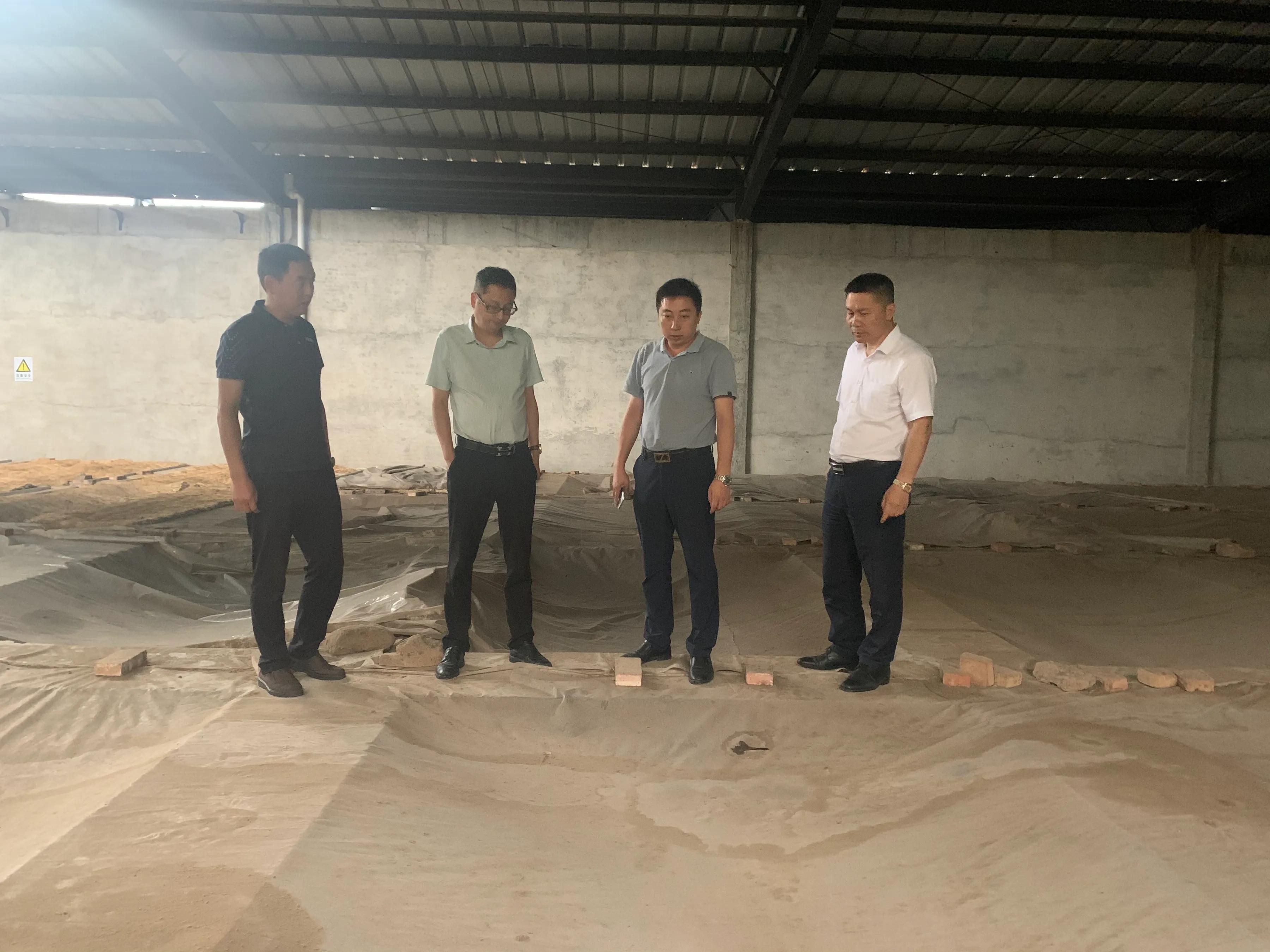 广元的武媚娘酒,广元武媚娘桑葚酒