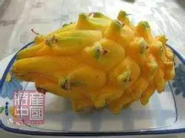 世界稀奇水果品种大全,世界热带奇特水果品种介绍