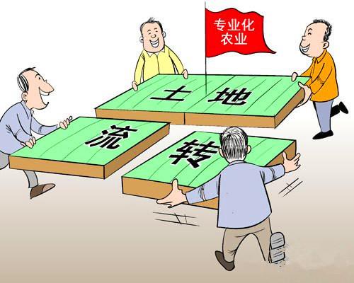 土地入股分红农民不愿意怎么办,农民土地入股的弊端