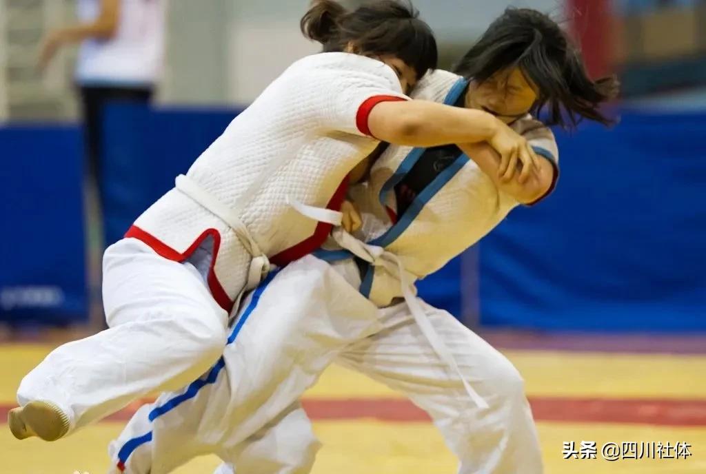 第15届全运会有哪些项目,全运会各个项目排名