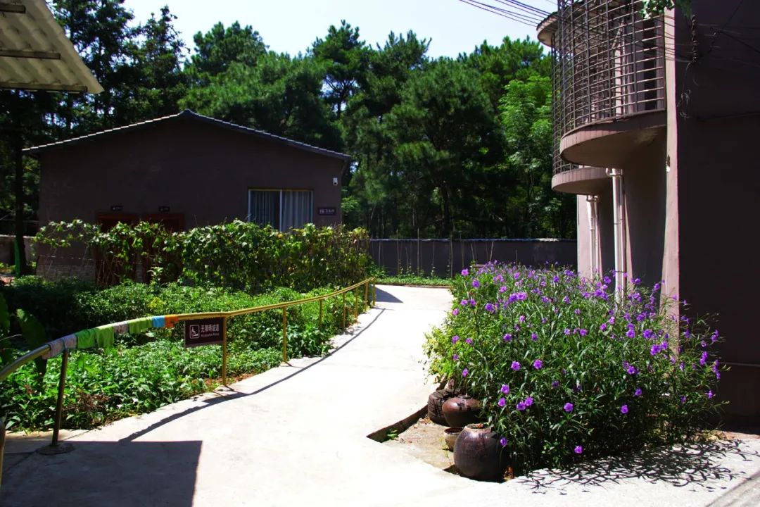 钟山水墨田园山水画廊,钟山水墨画廊要门票吗