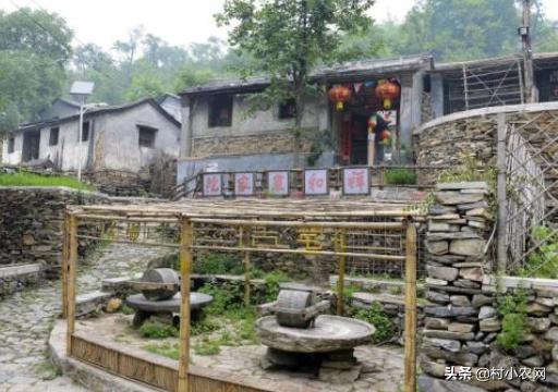 55到65岁在农村能创业什么项目,2021最有前景的10个农村创业点子