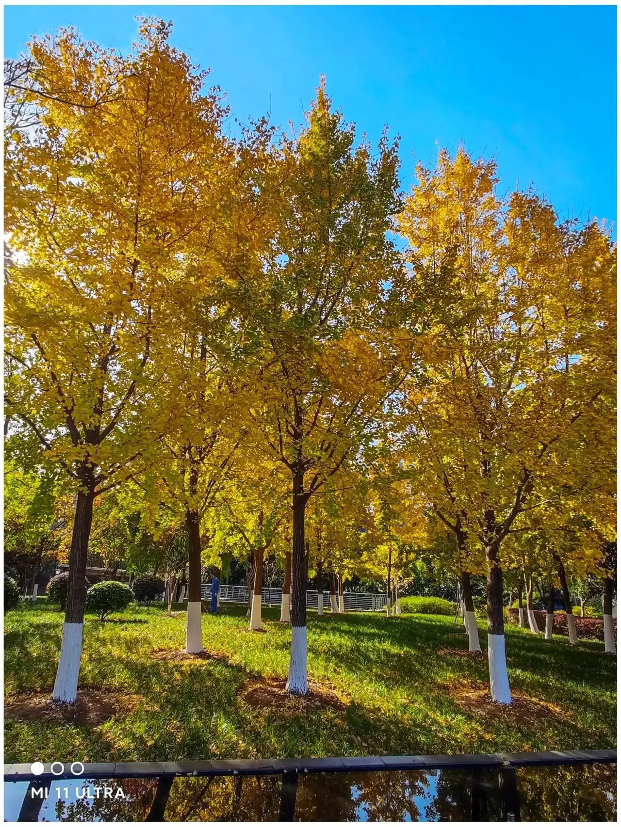 「北理工第五轮学科评估」各大学科专业详细预测及竞争分析