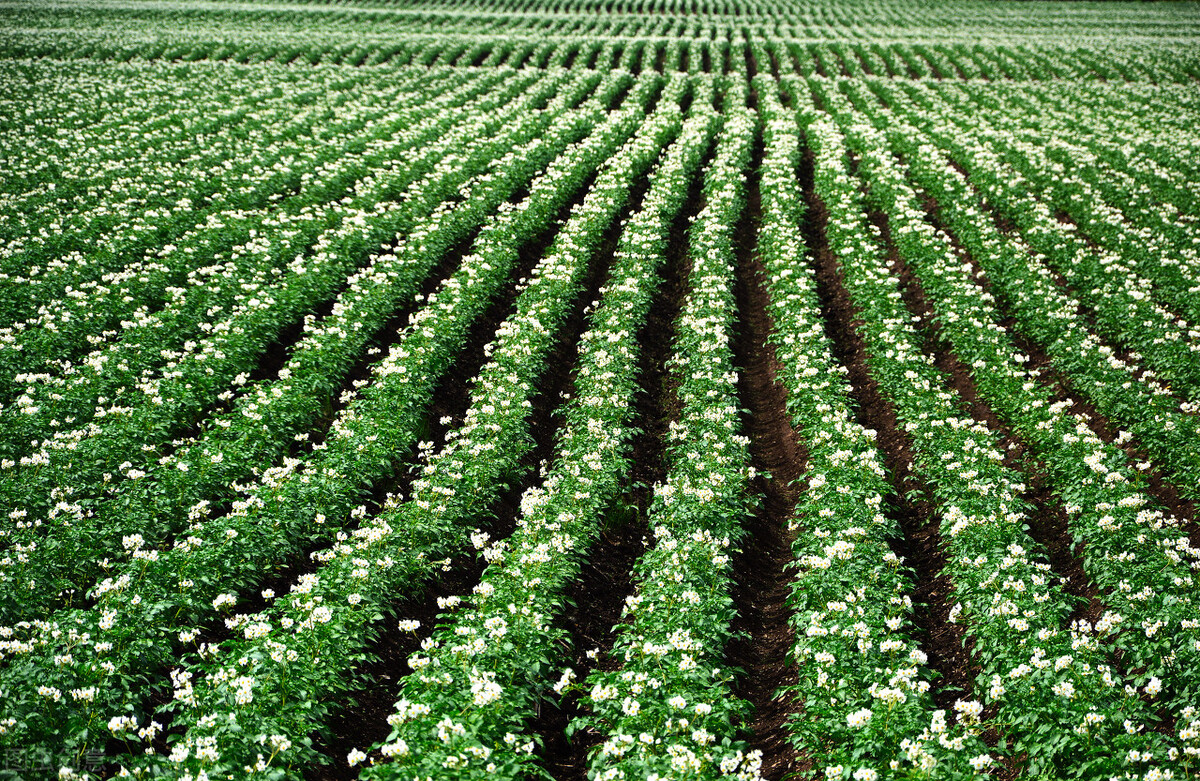 一本书改变了我的命运,一本书改变认知