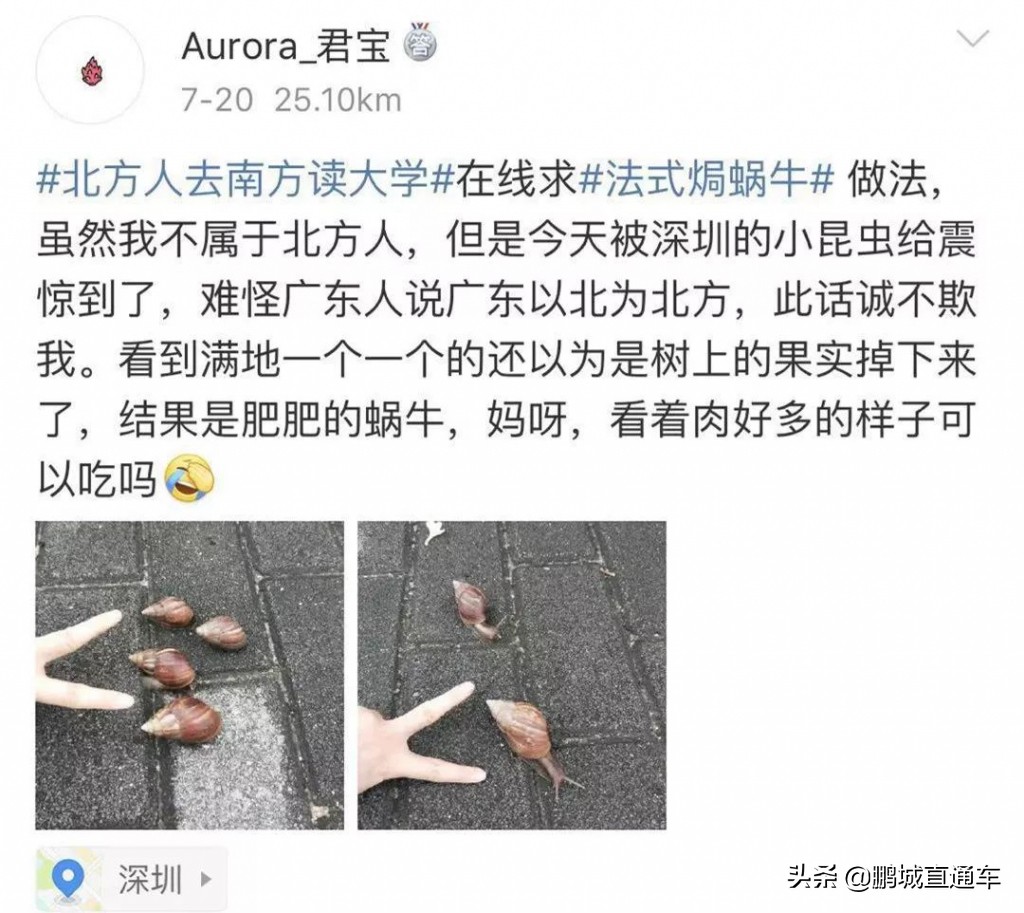 下雨过后路边为什么会出现蜗牛,深圳雨后出现非洲大蜗牛怎么处理