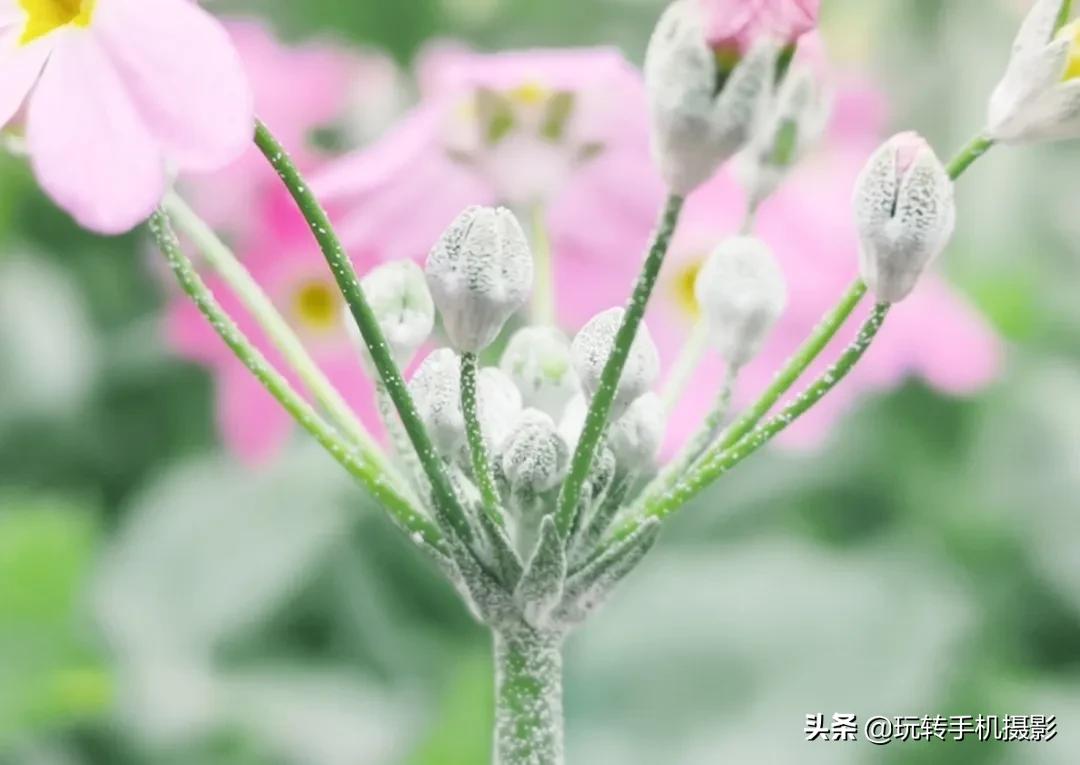 日式小清新调色技巧,文艺小清新调色教程