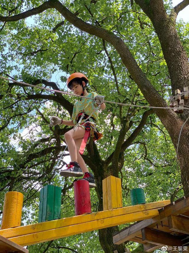 杨烁老婆孩子合照,杨烁老婆晒儿子